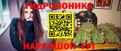 МДПВ Новодвинск