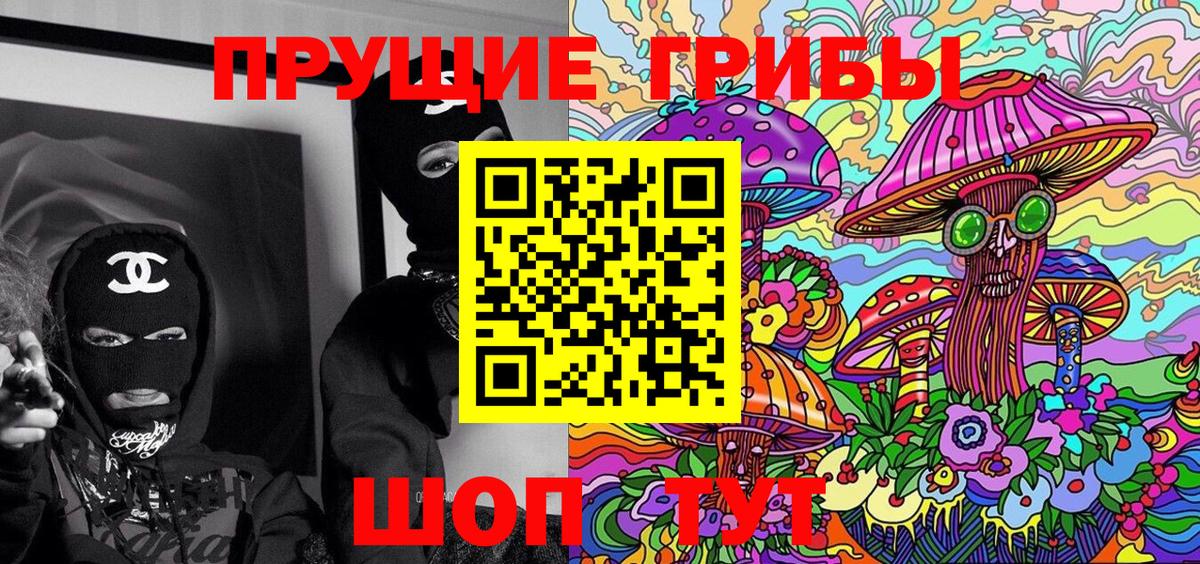 Псилоцибиновые грибы Psilocybe  Вход с VPN  Псилоцибиновые грибы прущие грибы  Чита 